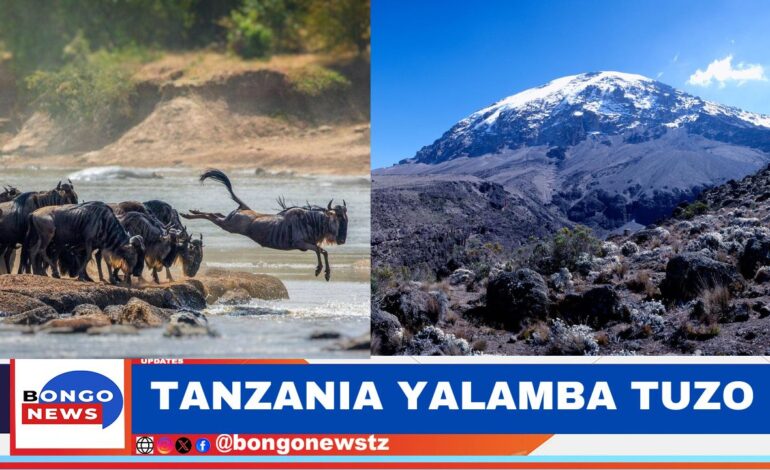  ROYAL TOUR YA RAIS SAMIA YAING’ARISHA SERENGETI NA MLIMA KILIMANJARO KIMATIFA