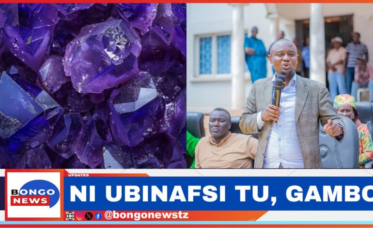  “UBINAFSI UNALIANGAMIZA TAIFA, TANZANITE IMEANGUKA” GAMBO